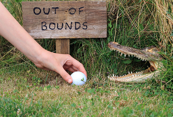 2020: Ook Nederland golft met golfballen van Out of Bounds