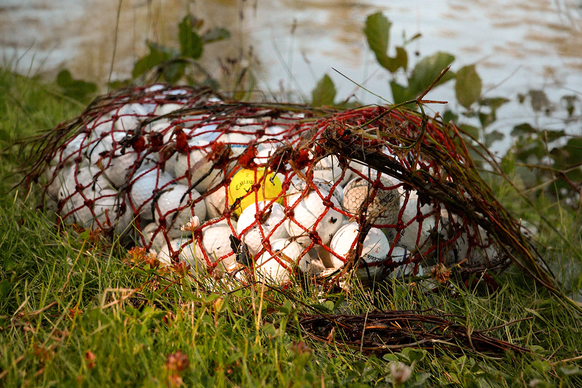 Golfbolde i et net