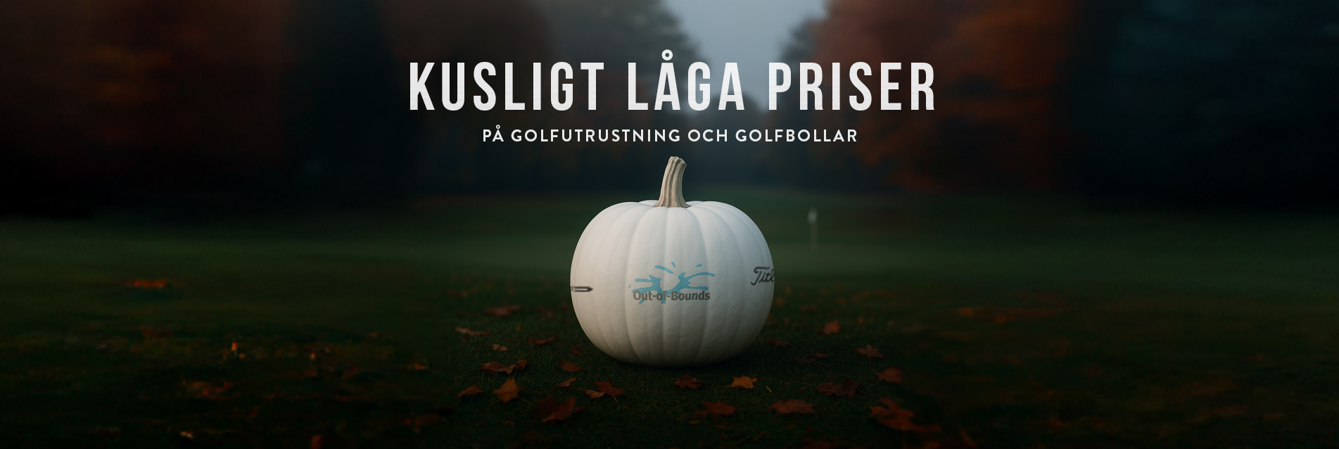 Skr�mmande bra kampanjpriser f�r alla golfare